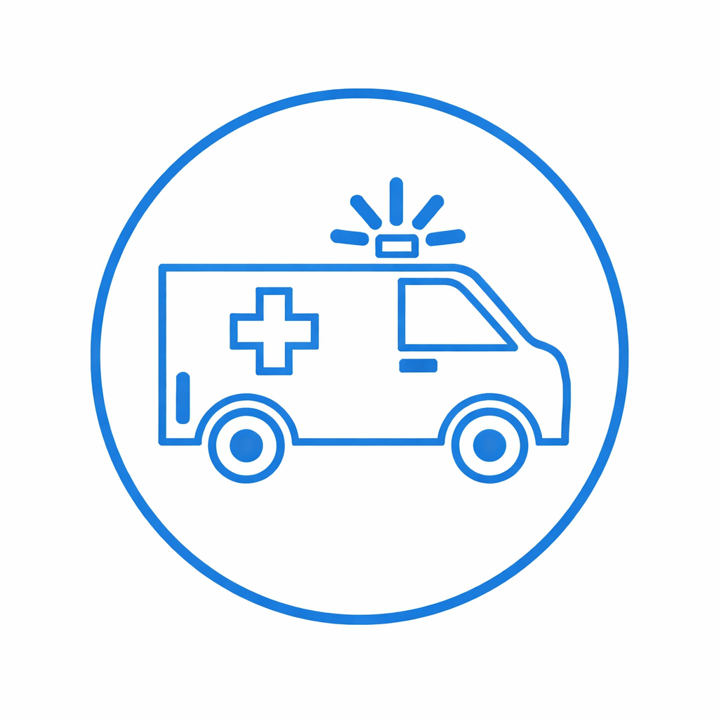 chatgpt image feb 25, 2026, 12 03 15 pm